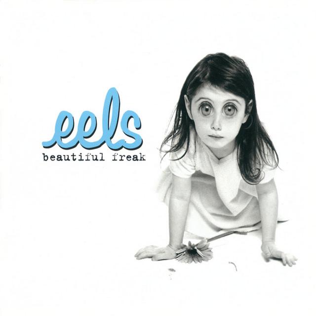 EELS&nbsp;/&nbsp;SUSAN'S HOUSE