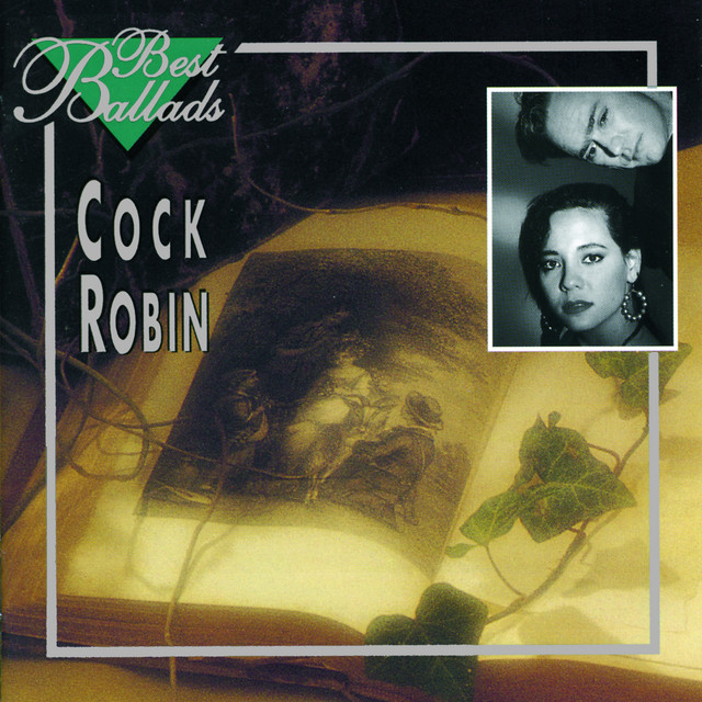 COCK ROBIN&nbsp;/&nbsp;WHEN YOUR HEART IS WEAK